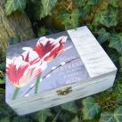 Krabička na čaj - 6 přihrádek - tulipány