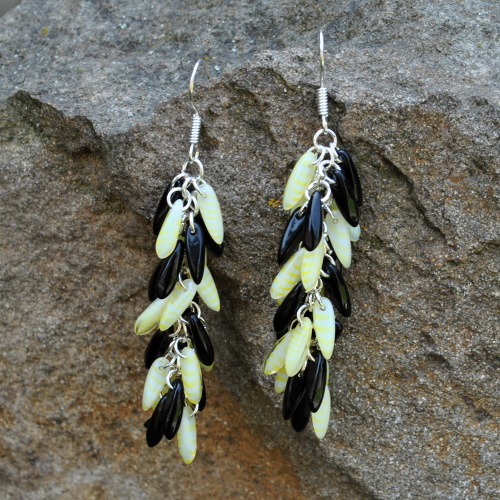 Černo žluté jazýčky