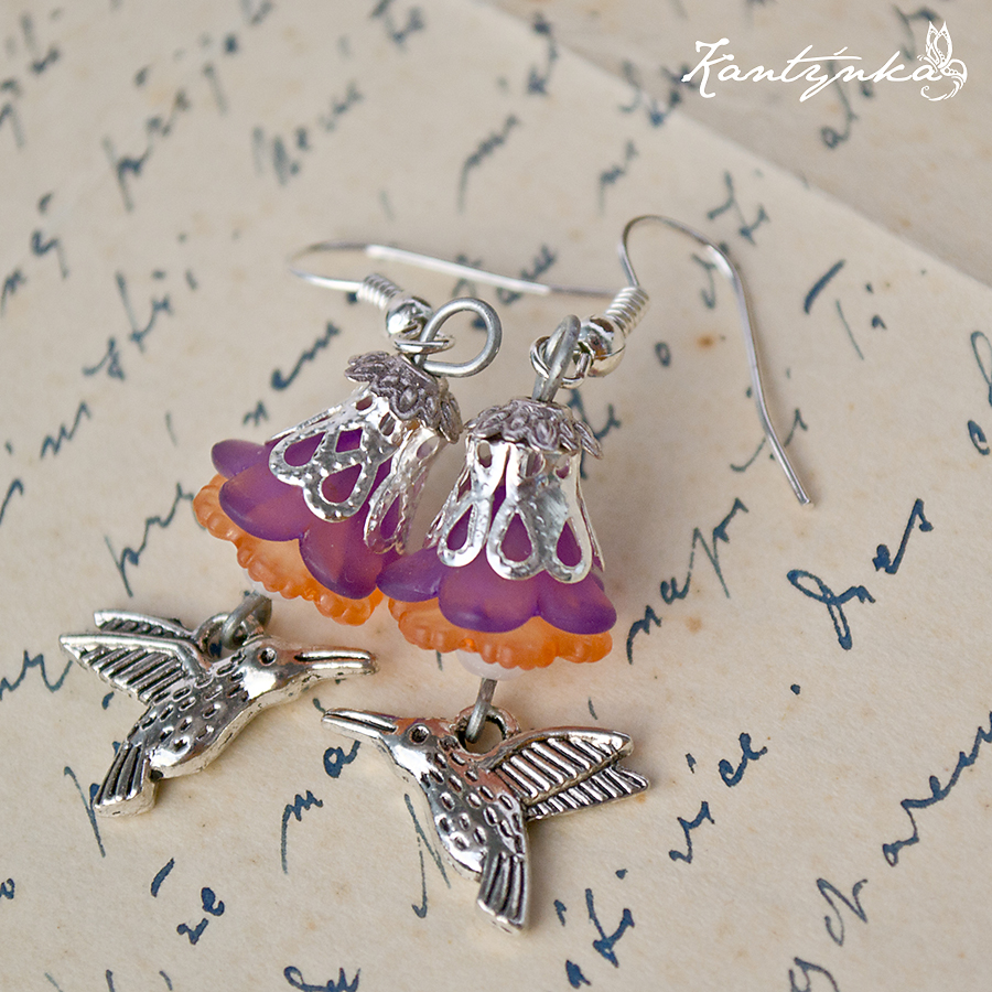 Kolibřík na květince