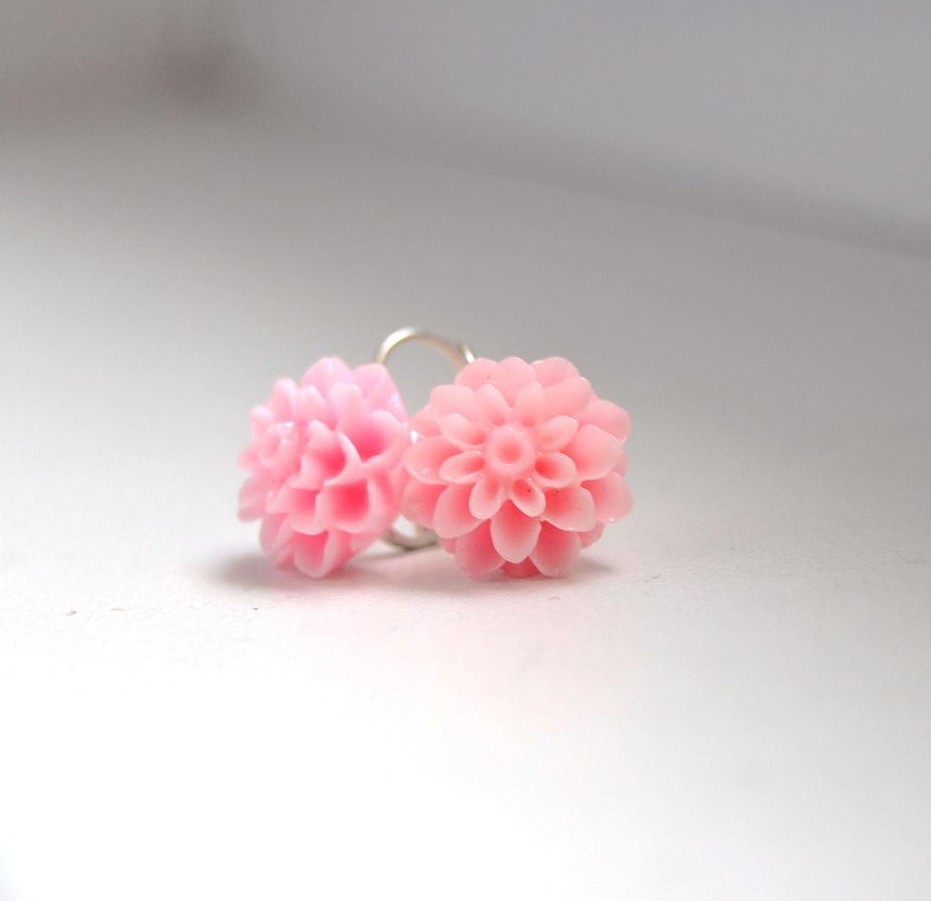 Chryzantémky růžové