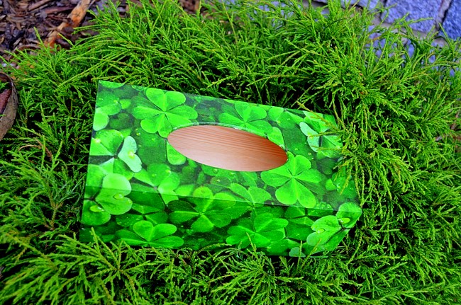 krabička na kapesníky čtyřlístky