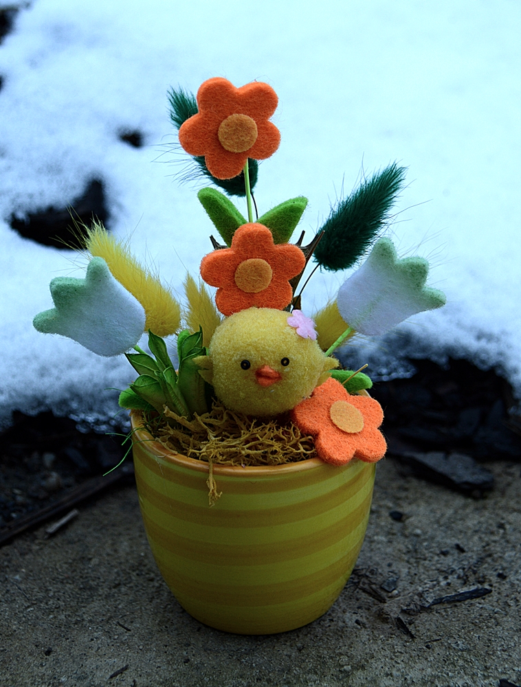 slečna kuřátko ;-)