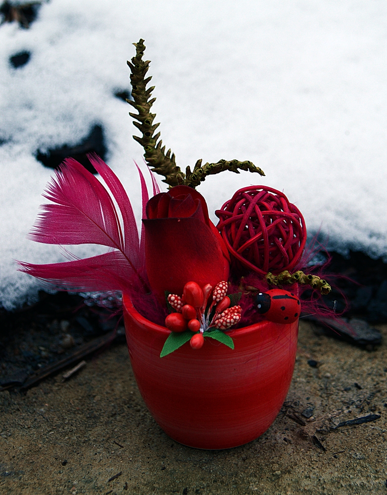 červená s beruškou