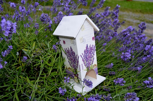 Domeček levandule