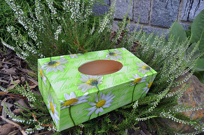 krabička na kapesníky kopretiny