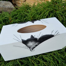 krabička na kapesníky kotě