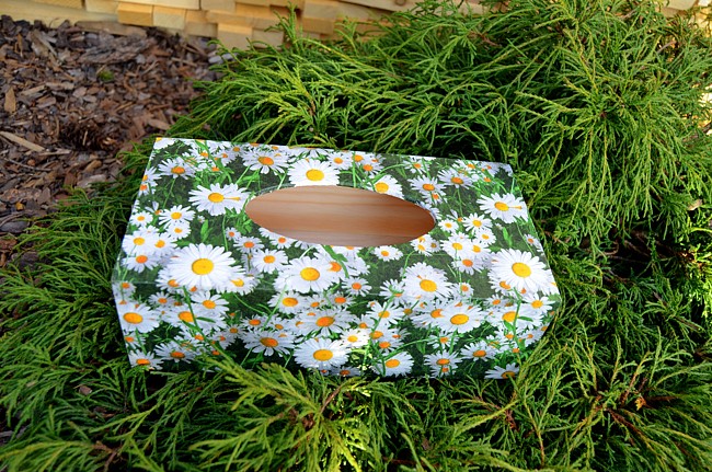 krabička na kapesníky kopretiny