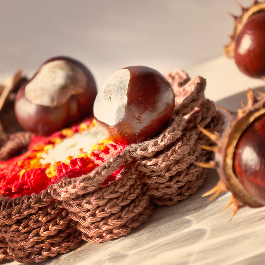 Podzimní květy jako podložky pod hrnky