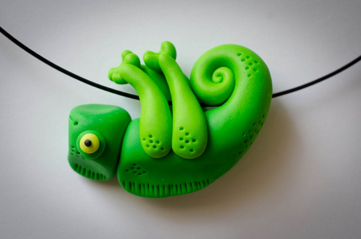 Dvoubarevný chameleon