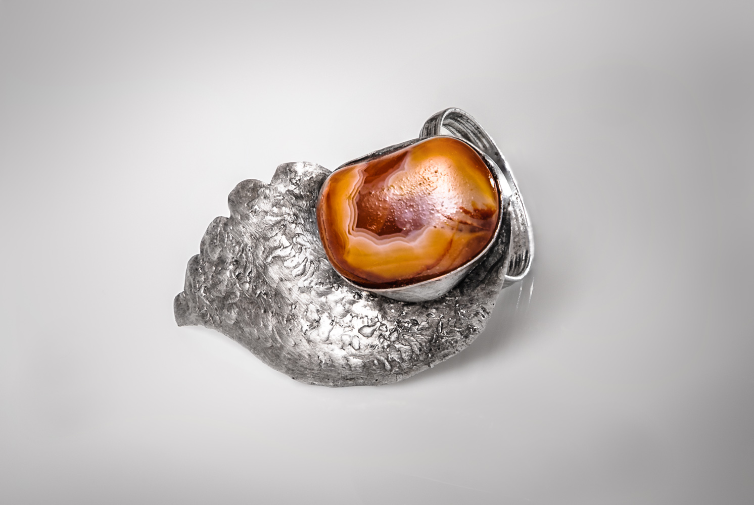 List, trubka, křídla