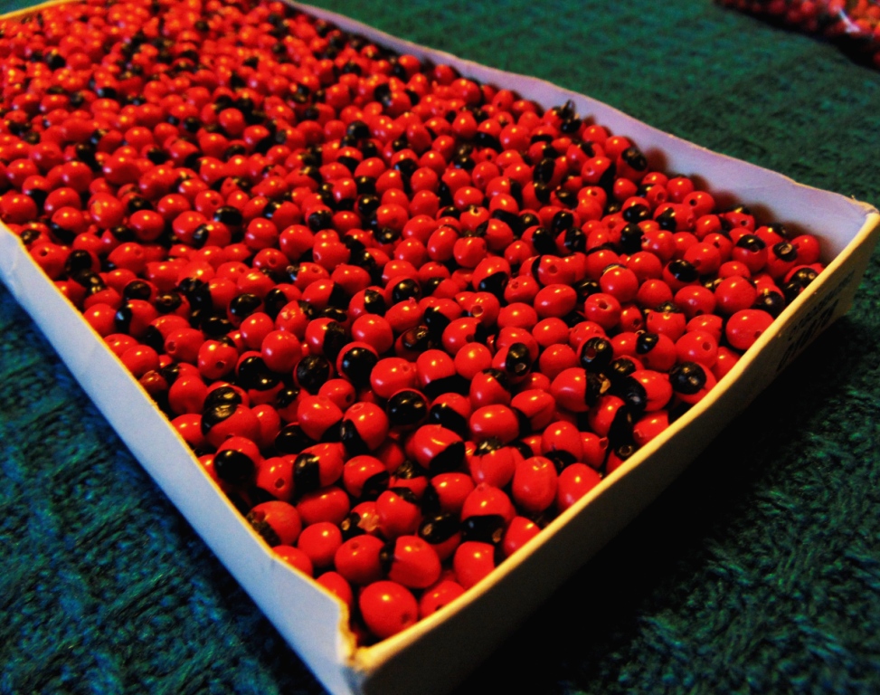 Semínka huayruro malá 30 ks