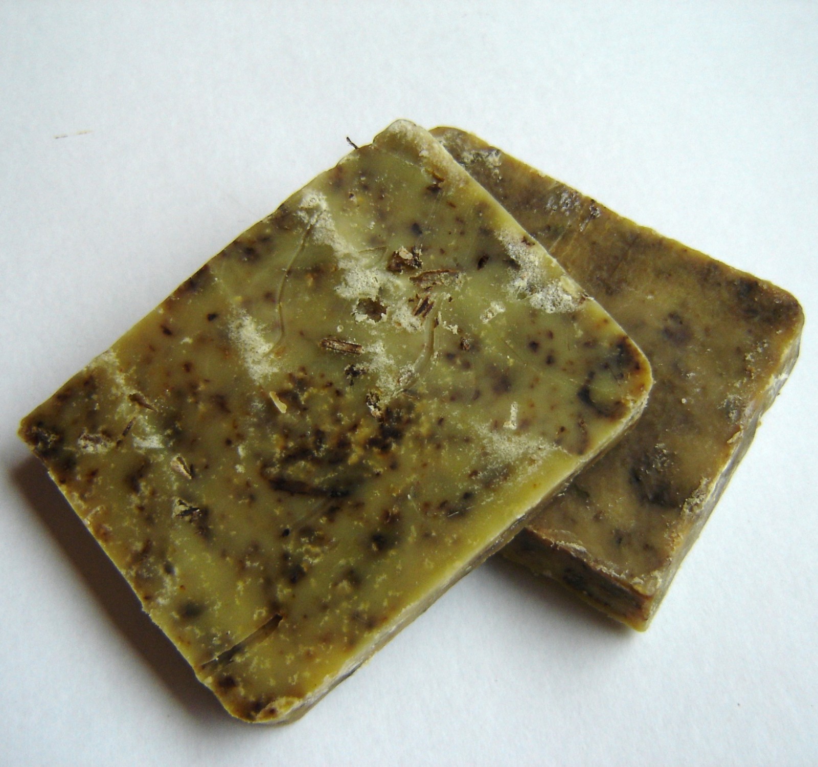 Meduňkový rakytník 