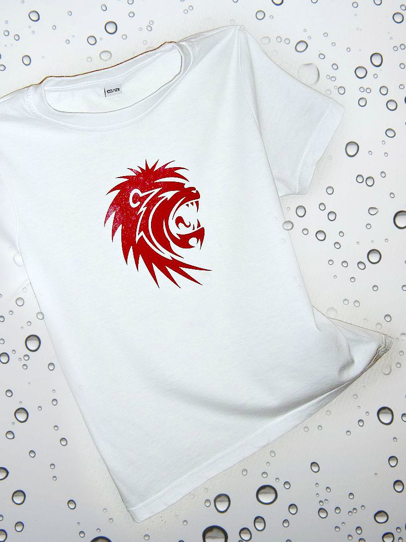 Chlapec ve znamení LVA ! 