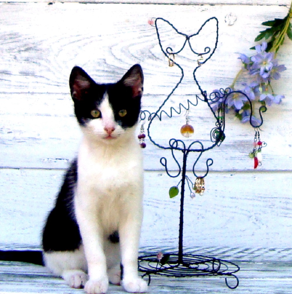 Jedna mňau na šperky 