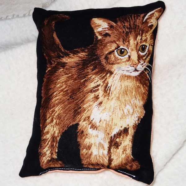 Levandulová kočka Máša