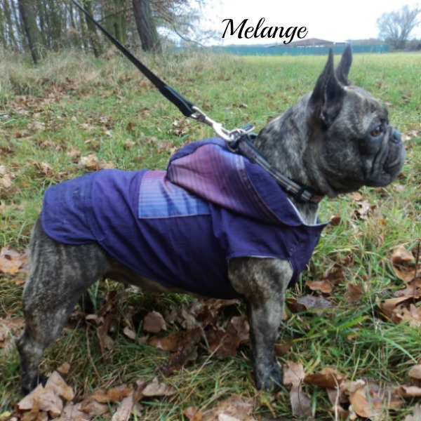 PLáštěnka pro buldočka