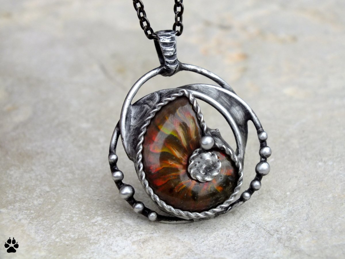 Návrat do minulosti - amonit