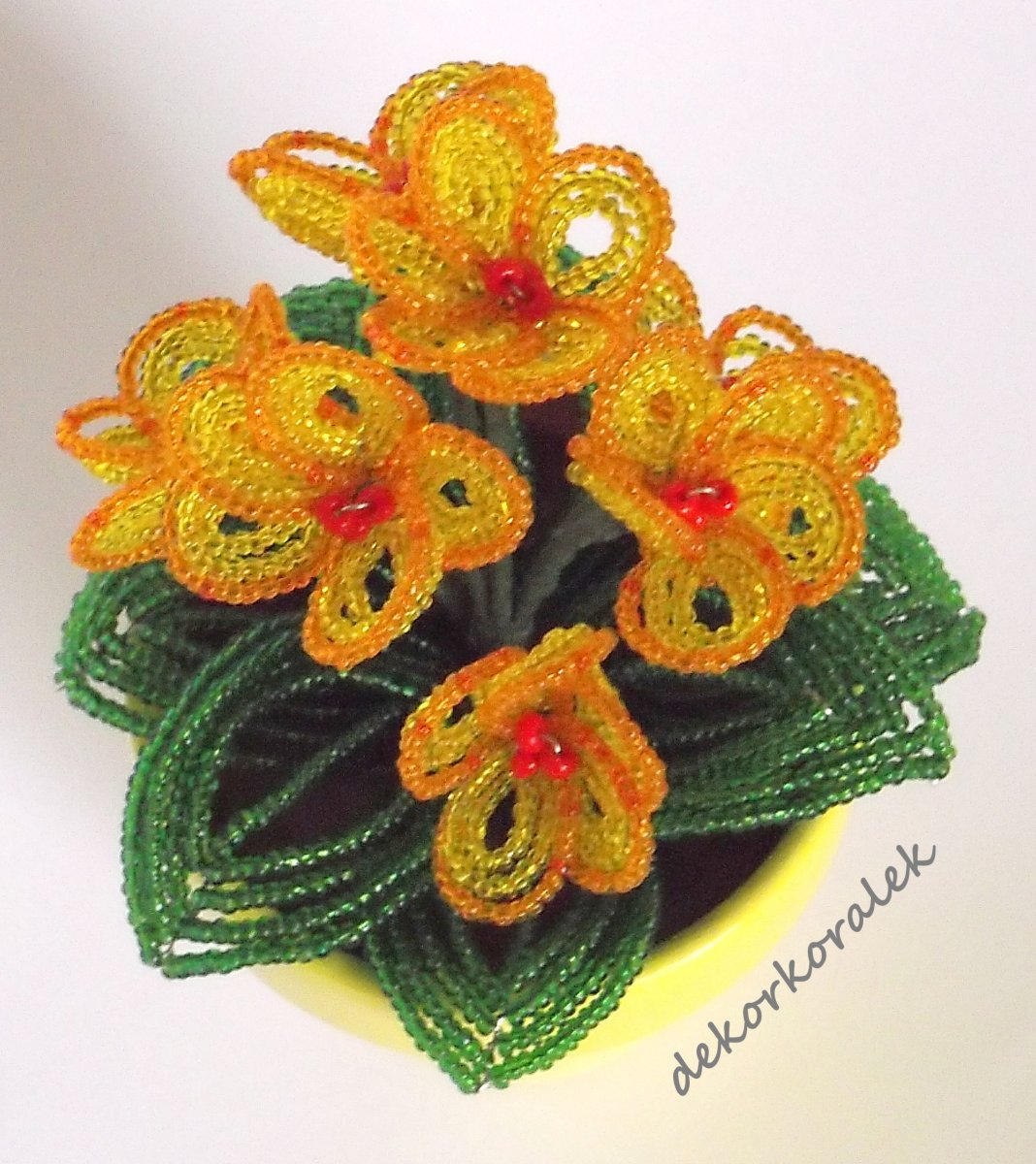 Žlutá fialka 7 květů