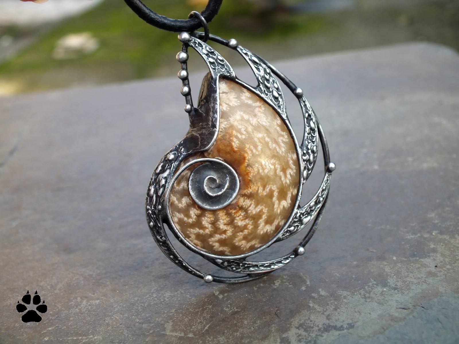 Z dávných časů... - amonit