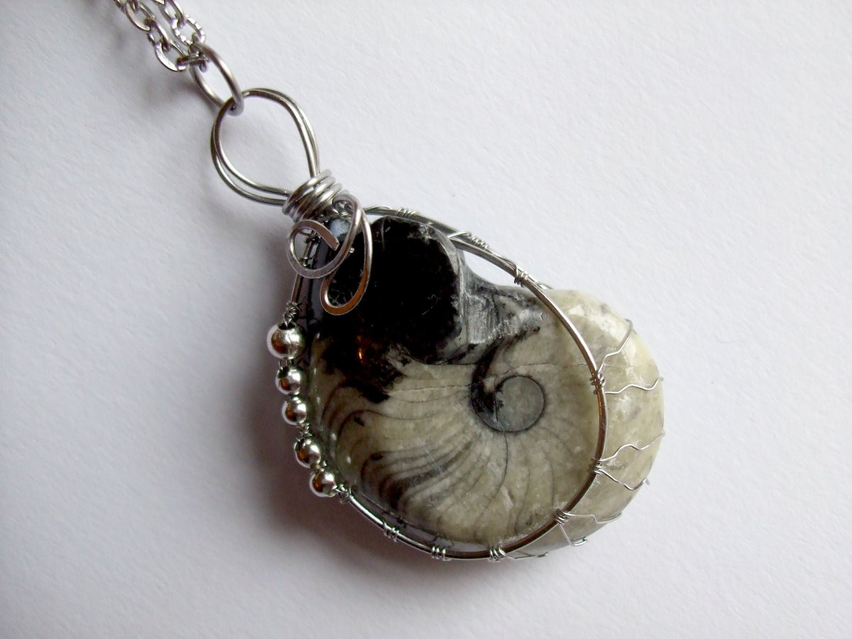 Zkamenělina Amonit.