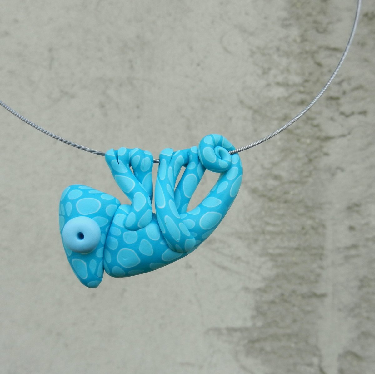 Chamík bleděmodrý