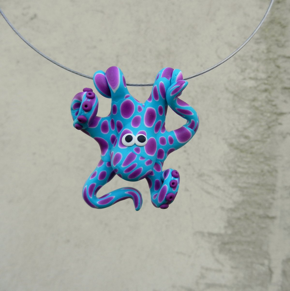 Chobotnička kontrastní