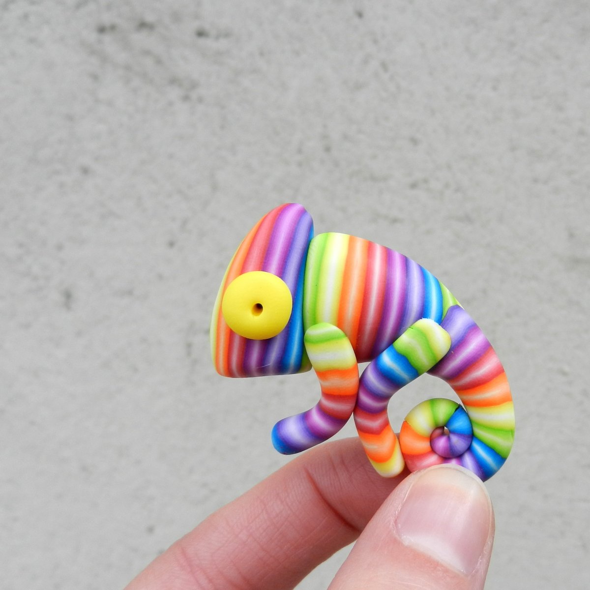 Chamí brož duhová