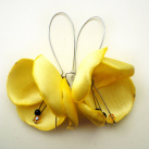 Náušnice: Světlounce žluté květy