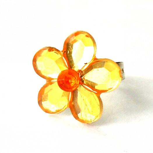 Orange daisy