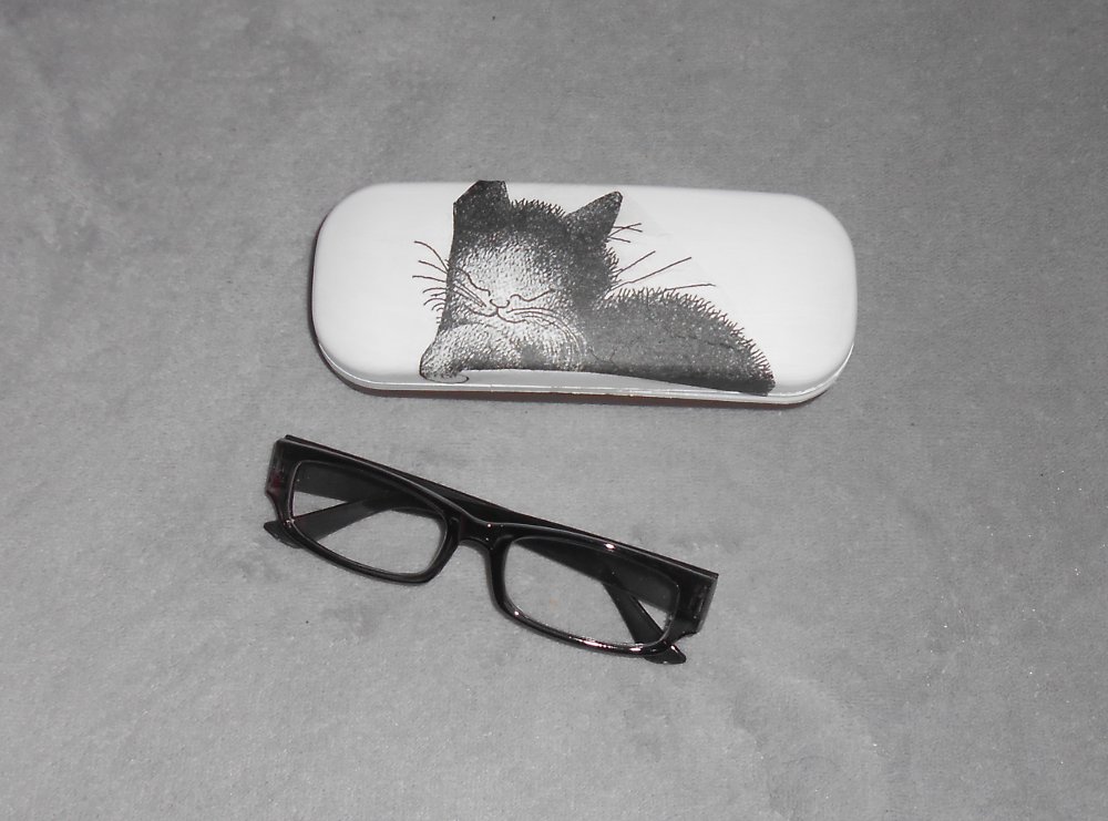 Pouzdro na brýle-koťátko