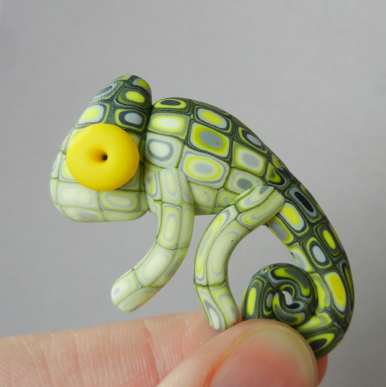 Chamík broží žlutý