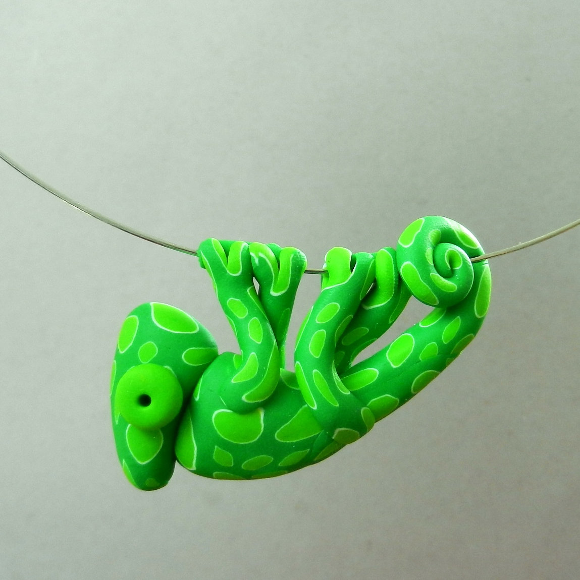 Chamík zelený strakatý