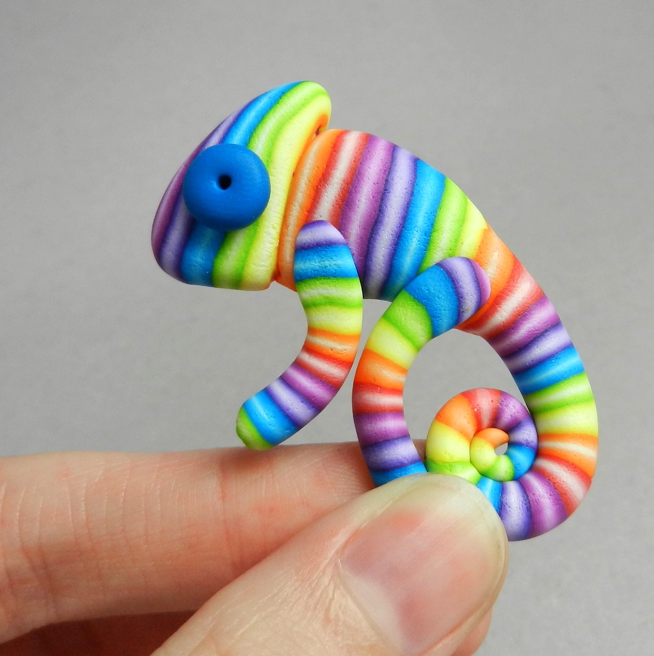 *AKCE* Chamík broží duhový