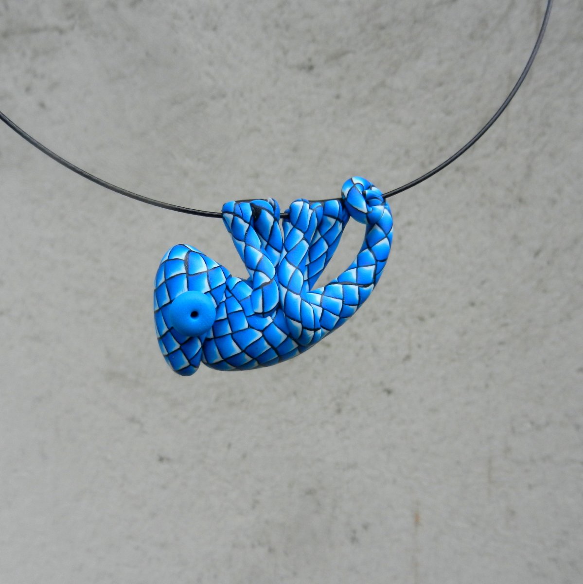 Chamík šupináč modrý