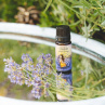 Esenciální olej - Levandule 10 ml
