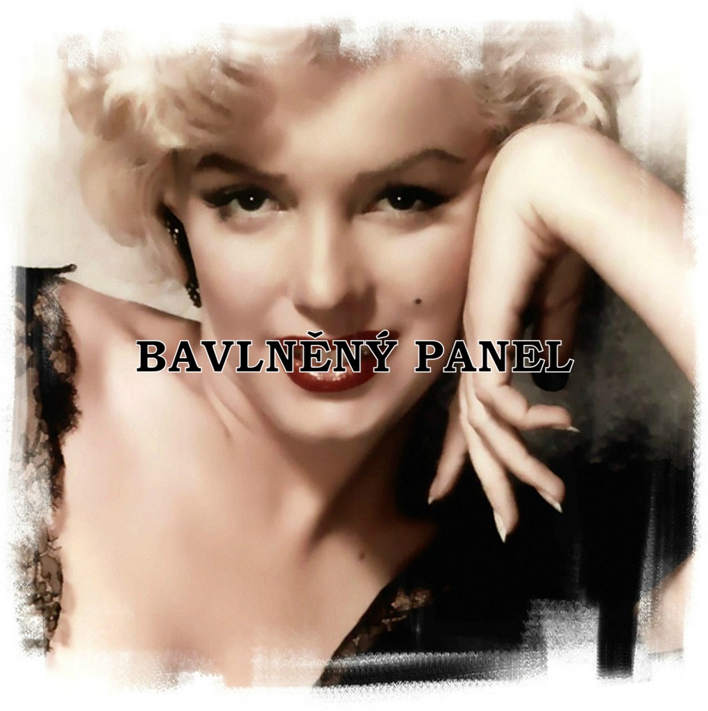 BAVLNĚNÝ PANEL - digitální tisk -  a4201