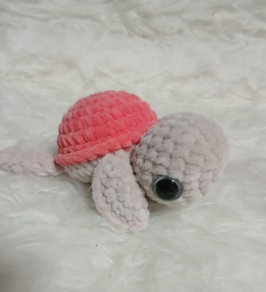 Muchlací želvička růžová