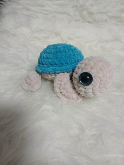 Muchlací želvička tyrkysová