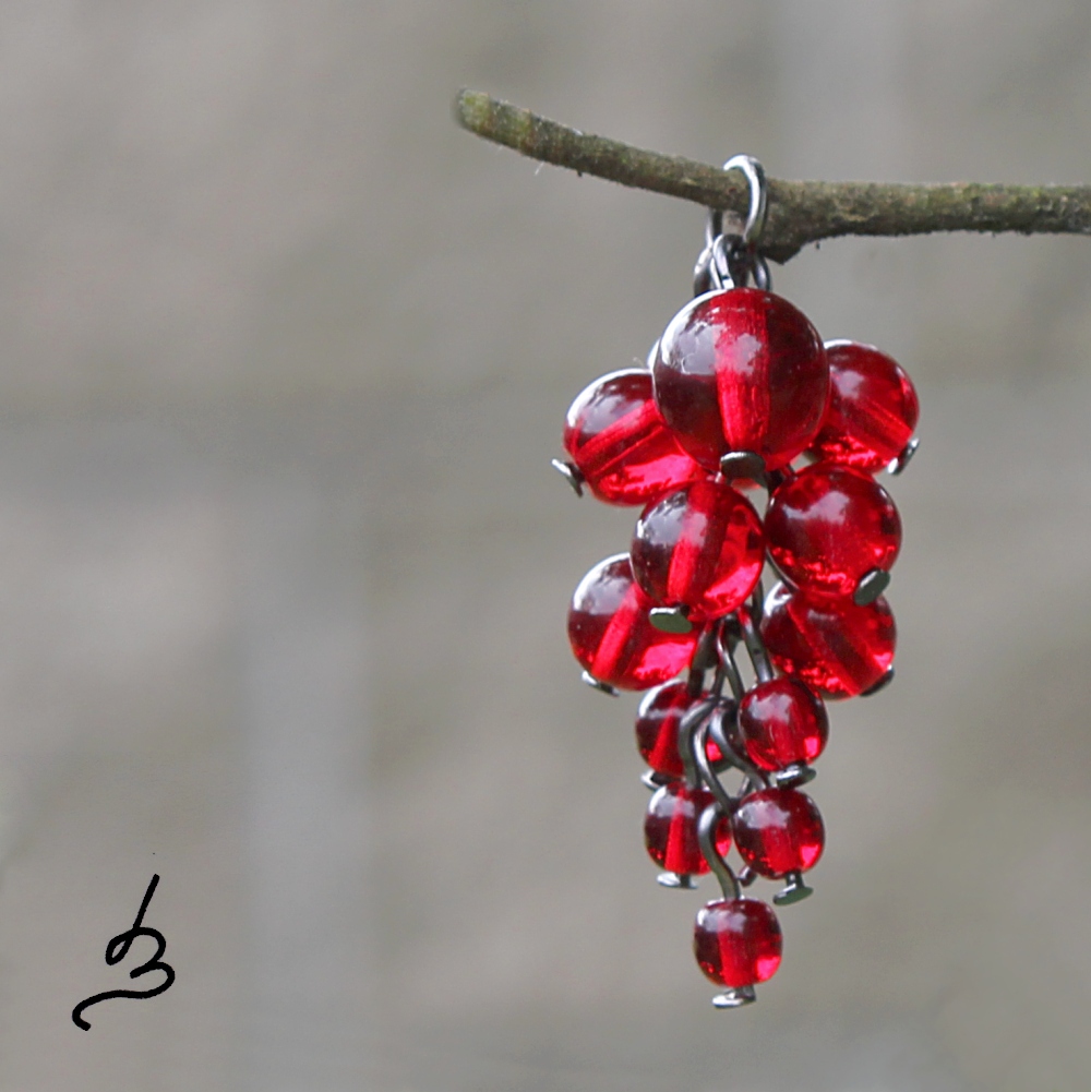 Červený rybíz var. vitreus - přívěsek