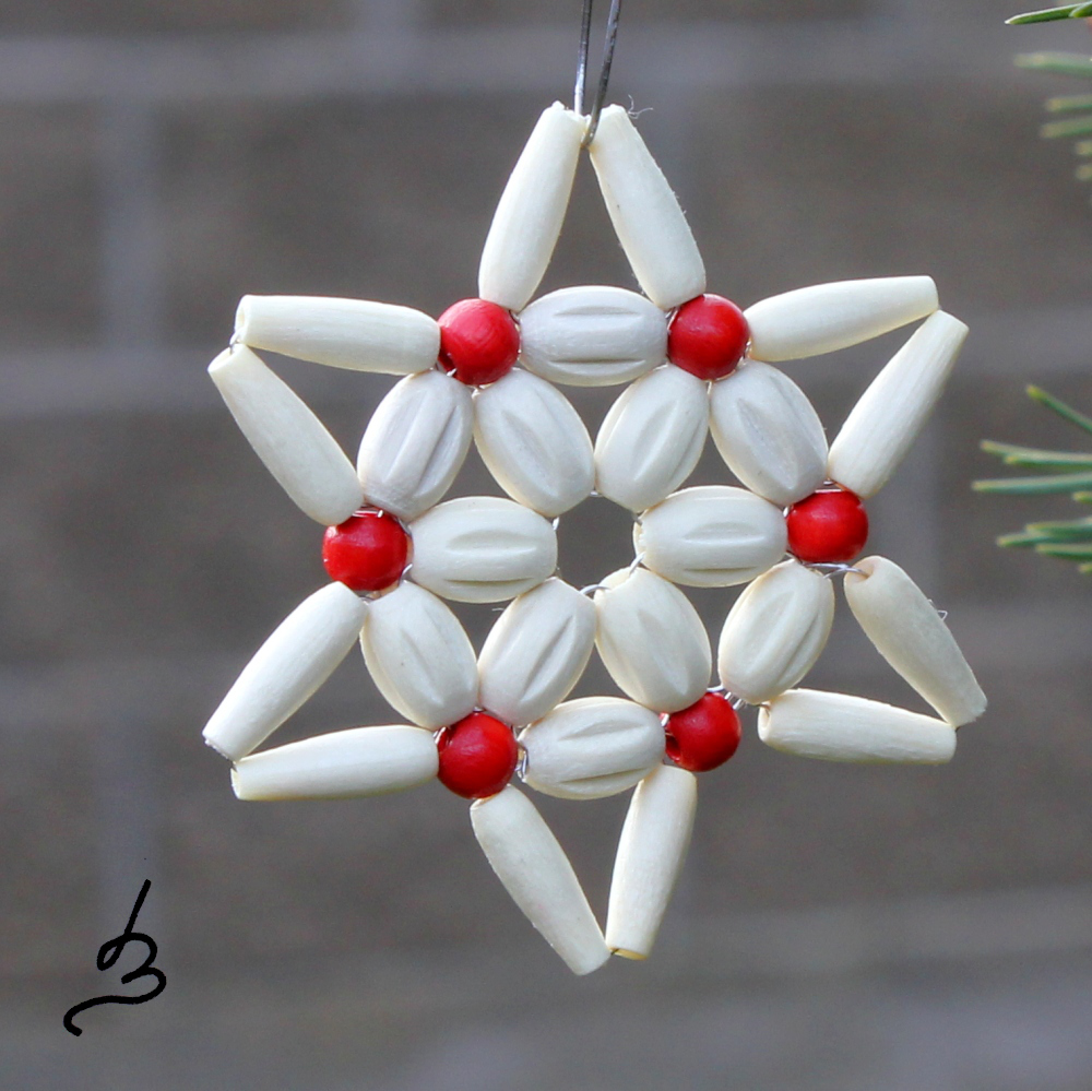 Hvězdička střední - krémovočervená