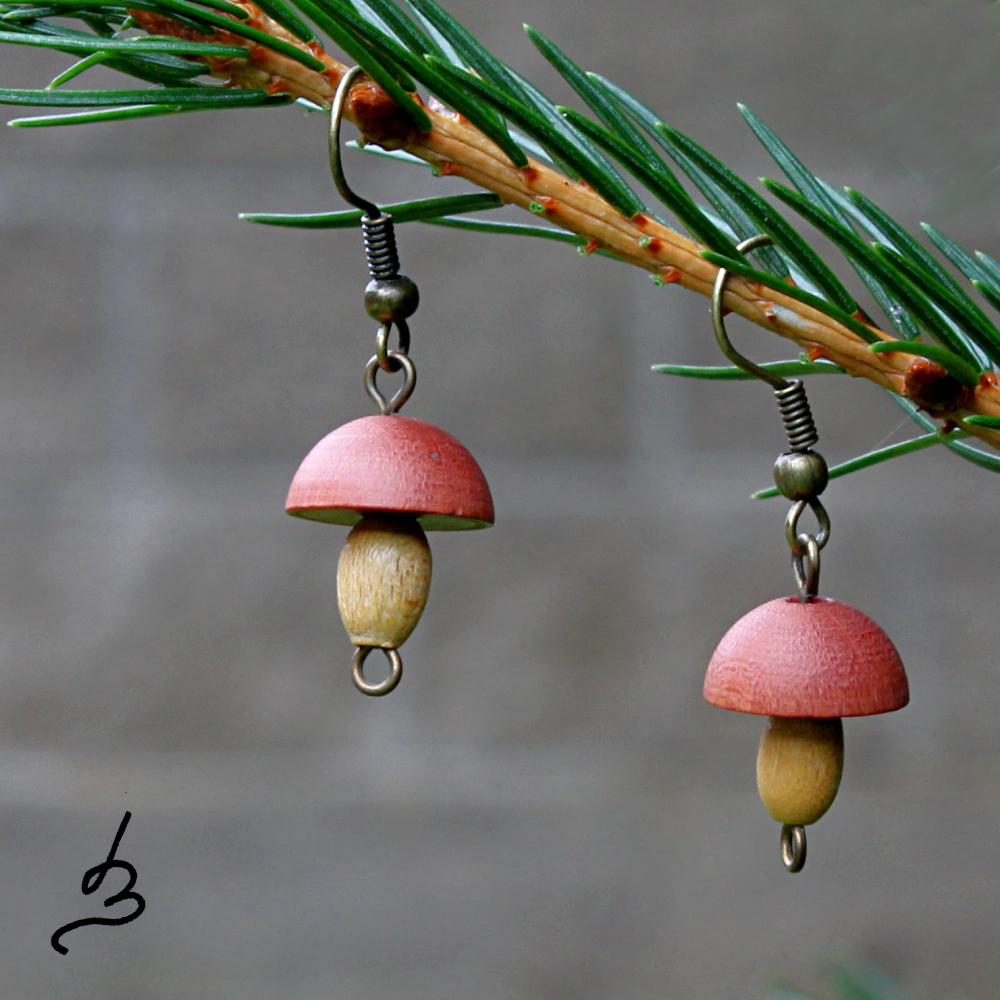 Boletus chrysenteron