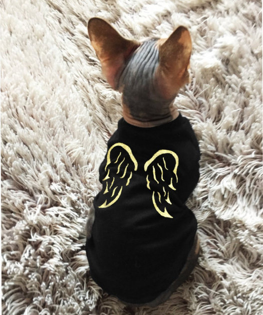 Tričko pro Sphynx anděl