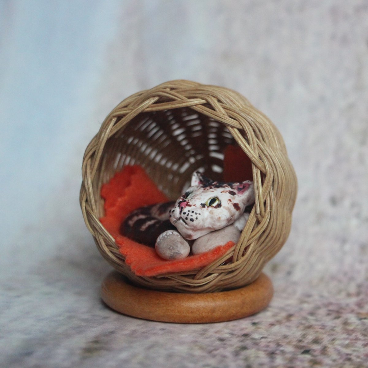 Kocourek v pelíšku