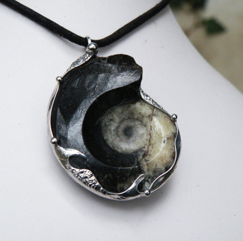 Z dávných časů...(goniatit)