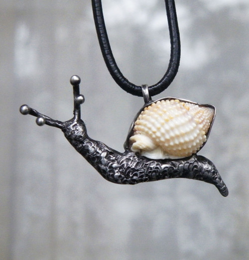 Šnekoun...(mušle)