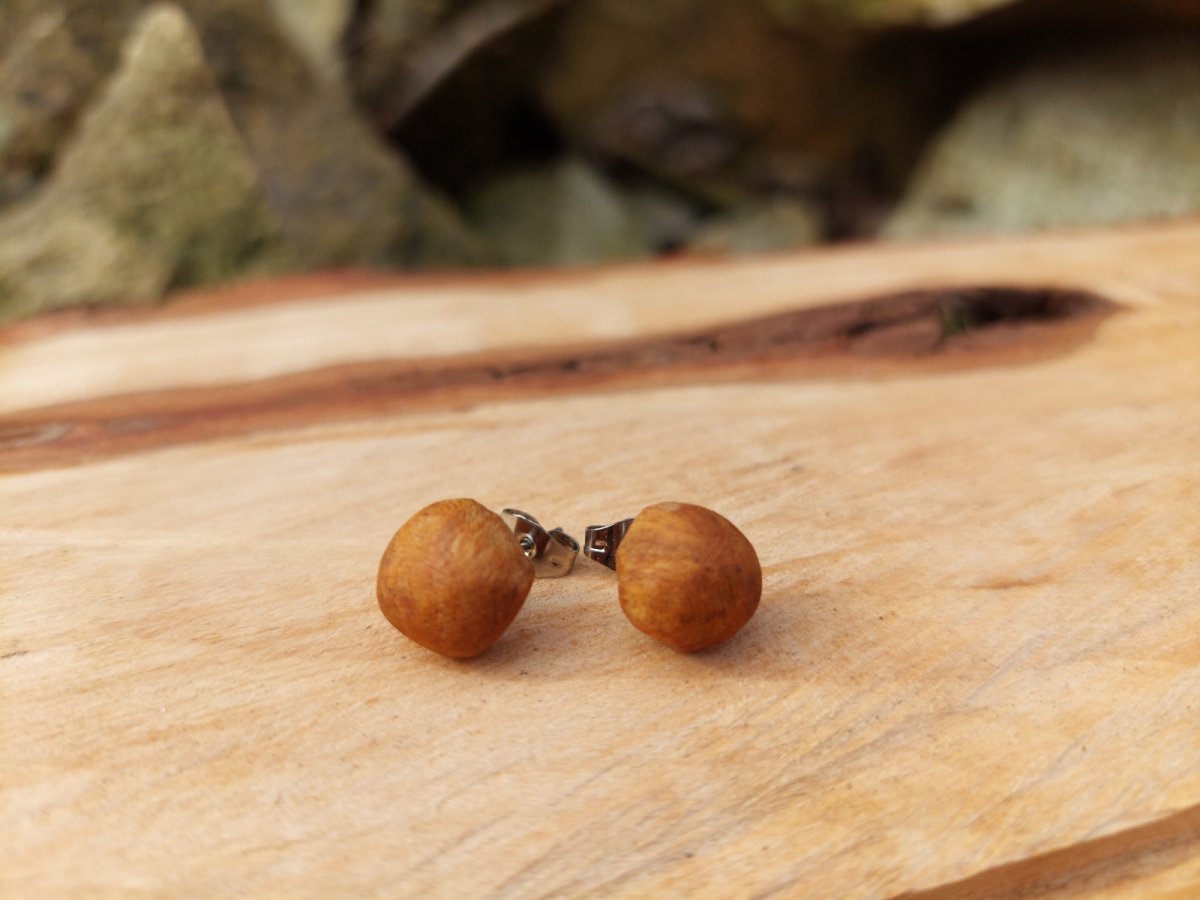 náušničky - meruňka