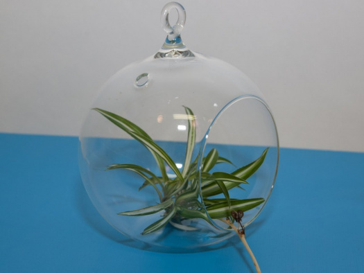 AERÁRIUM - závěsný skleníček s rovným dnem 12 cm