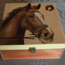 Krabička - kůň a podkova