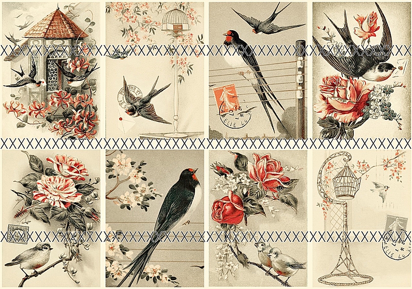 Bavlněná látka - panel - výběr - G8