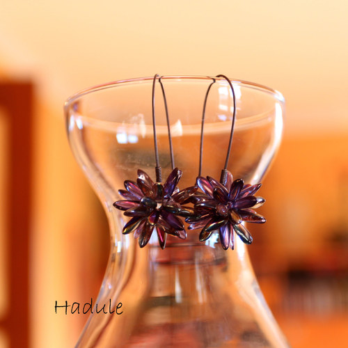 hnědofialkové ježatky